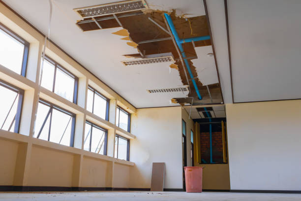Best Flood damage cleanup  in Lampeter, PA