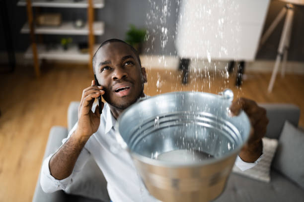 Best Ceiling water damage repair  in Lampeter, PA
