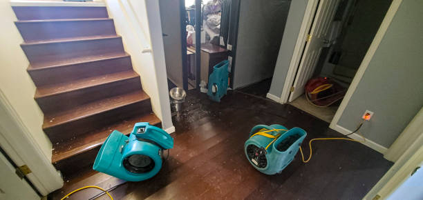 Best Water damage cleanup near me  in Lampeter, PA