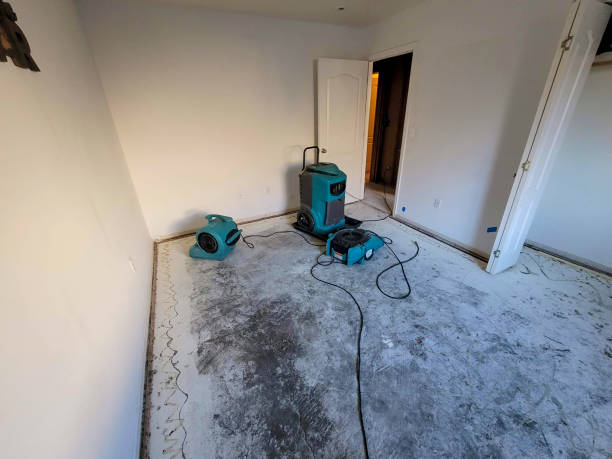 Best Water damage restoration company  in Lampeter, PA