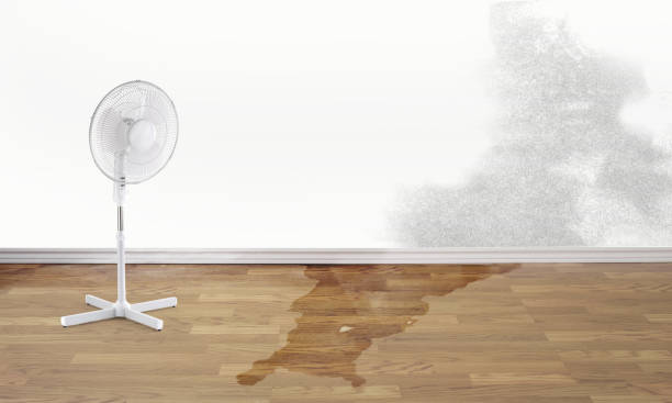 Best 24/7 water damage repair  in Lampeter, PA