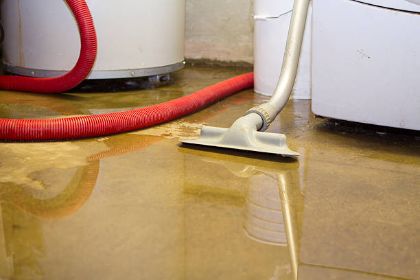 Best Mold removal after water damage  in Lampeter, PA