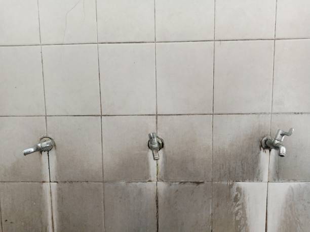 Best Flood damage cleanup  in Lampeter, PA