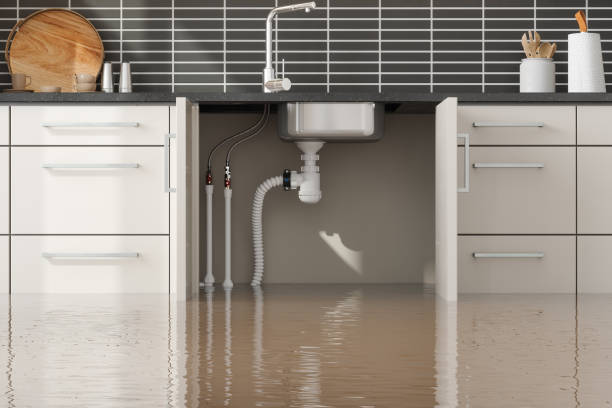 Best Professional water damage repair  in Lampeter, PA